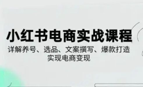 小红书从0-1实操课(2023-2025),详解养号、选品、文案撰写、爆款打造实现电商变现-宇创网