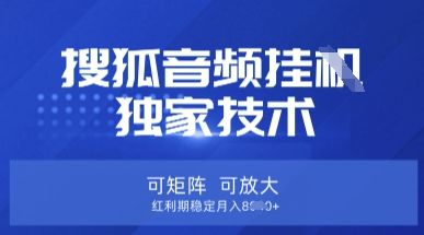 【搜狐音频挂G】独家技术,可矩阵可放大,红利期稳定月入8k【揭秘】-宇创网