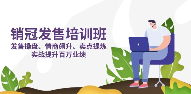 (14203期)销冠 发售培训班:发售 操盘+情商 飙升+卖点 提炼,实战提升百万业绩-宇创网