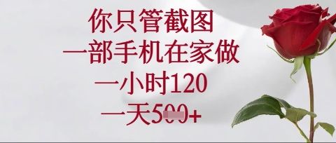 你只管截图,一部手机在家操作,一小时120.一天5张【揭秘】-宇创网